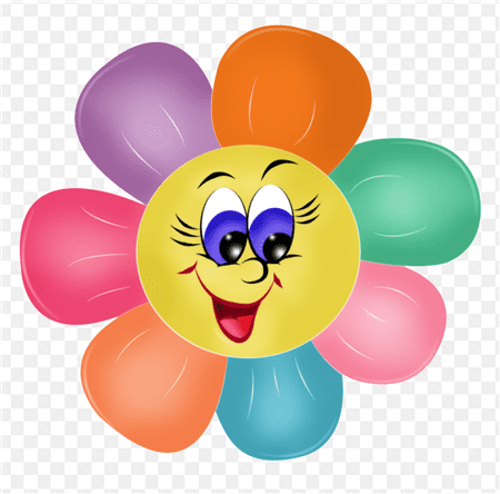 Bông hoa mặt cười với nhiều màu sắc