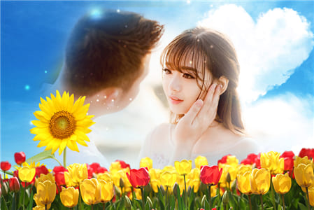 Ghép khung ảnh 2 người yêu nhau với  khung ảnh bông hoa Hướng Dương kết hợp cách đồng hoa Tulip