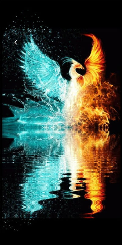 Hình ảnh nghệ thuật về chú chim phương hoang lửa đang tắm làm hình nền điện thoại