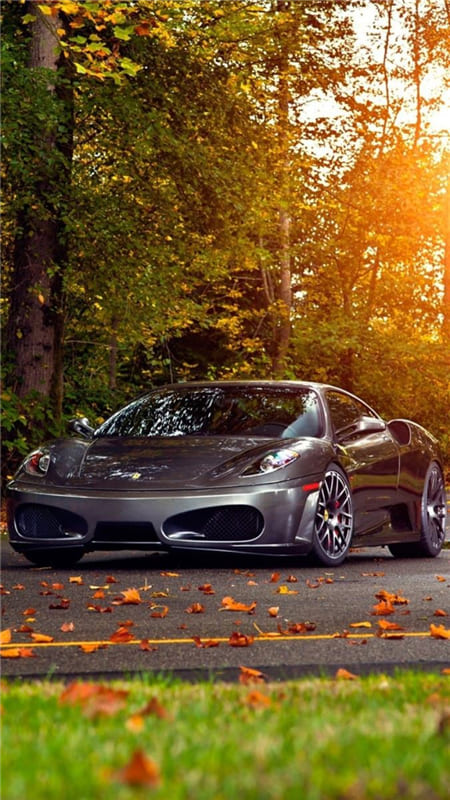 Hình ảnh siêu xe đi trên con đường mùa thu lá đổ đẹp làm hình nền điện thoại