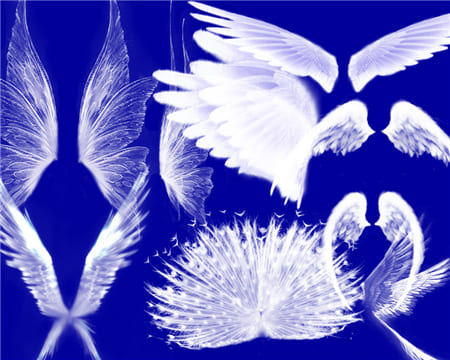 Mẫu siêu tầm những đôi cánh thiên thần đẹp dùng trong thiết kế ảnh