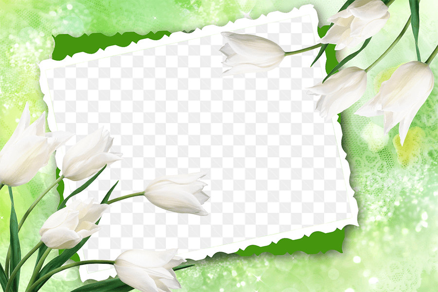 Khung ảnh nền xanh ngọc kết hợp những bông hoa trắng nghệ thuật