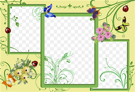 Khung ảnh ghép 3 hình với nền hoa, lá và bướm đẹp