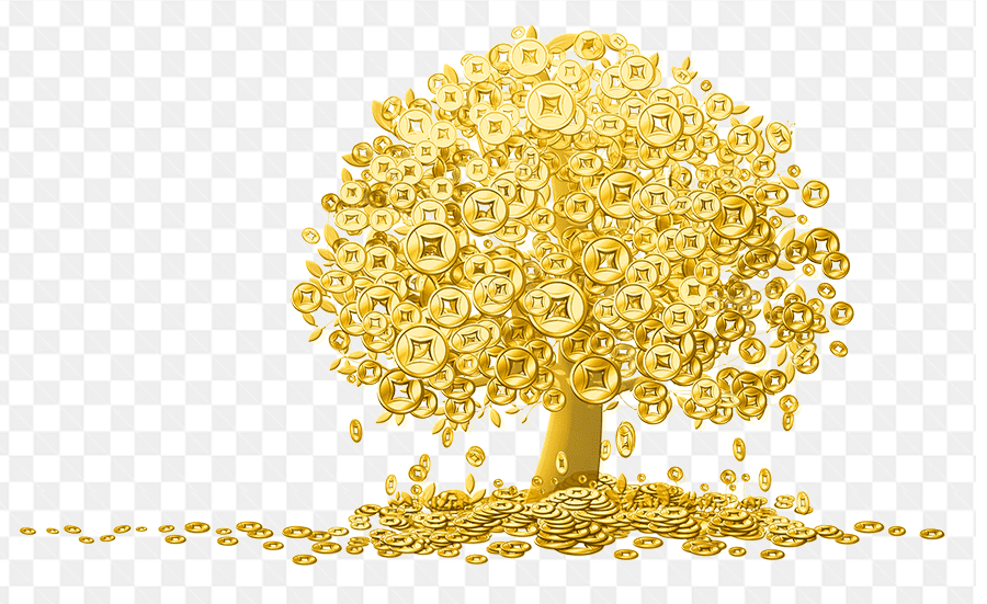 Hình ảnh cây đồng tiền vàng