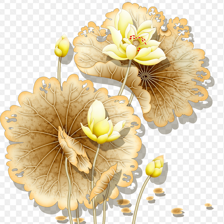 Hình ảnh vẽ tuyệt đẹp về hoa sen