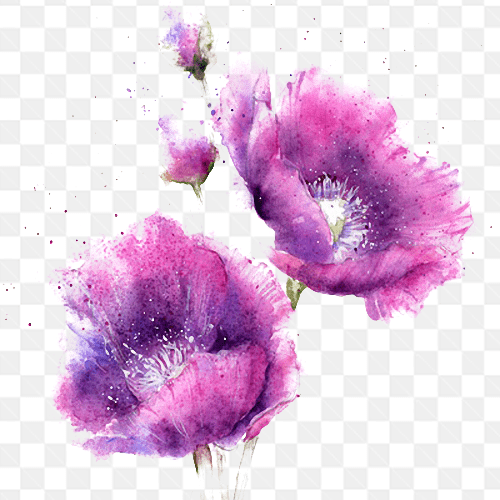 Hình ảnh phác thảo những bông hoa tím nghệ thuật
