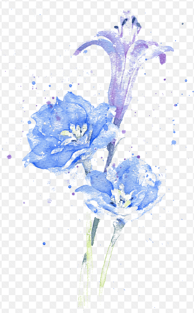 Hình ảnh phác họa bông hoa hồng xanh