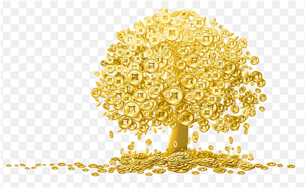 Hình ảnh cây đồng tiền vàng