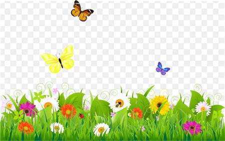 Nền bải cỏ và bướm hoa thiên nhiên