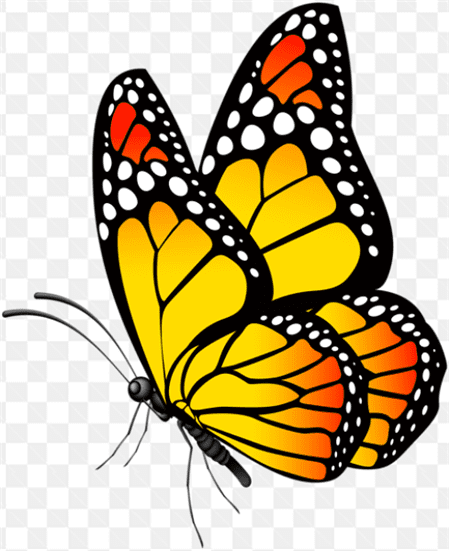 Hình ảnh chú bướm vàng tuyệt đẹp