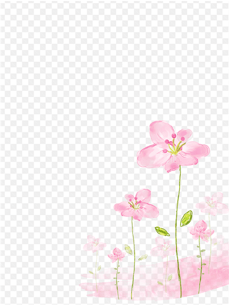 Khung ảnh nền với những cây hoa màu hồng tuyết đẹp