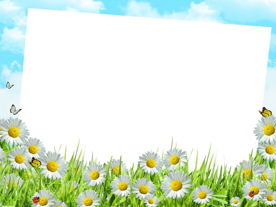 Khung ảnh nền powerpoint với bầu trời xanh cùng hoa cỏ tươi đẹp