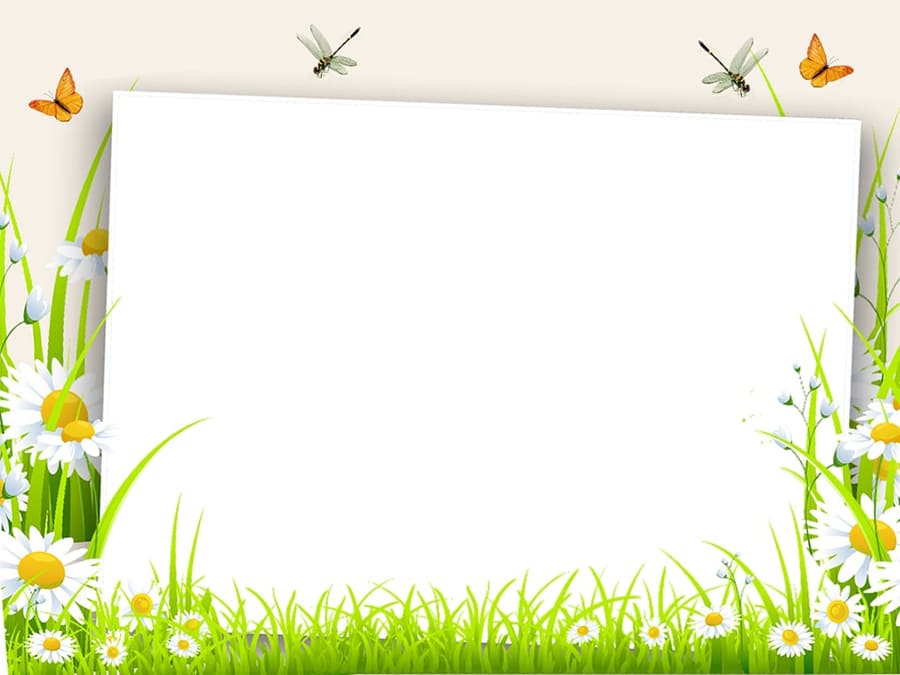 Khung ảnh nền powerpoint với khung hình trang trí hoa cỏ và những con bướm xinh