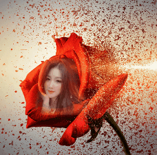 Tạo ảnh gif online với bông hoa hồng chuyên động nghệ thuật