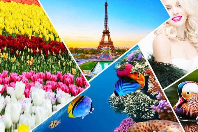 Top 199 Hình Ảnh Thiên Nhiên Đẹp Nhất 2026 ❤️ Ảnh Phong Cảnh 4K Full HD Miễn Phí