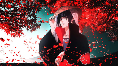 Hình ảnh anime nam lạnh lùng với sắc lá đỏ