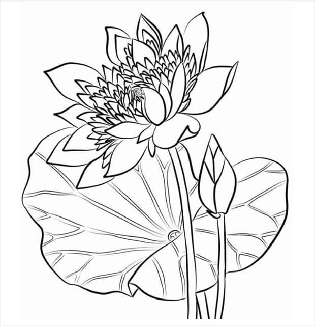 Tạo hình tô màu bông hoa - Dạy bé tập tô [ GianggiangTV ] - YouTube