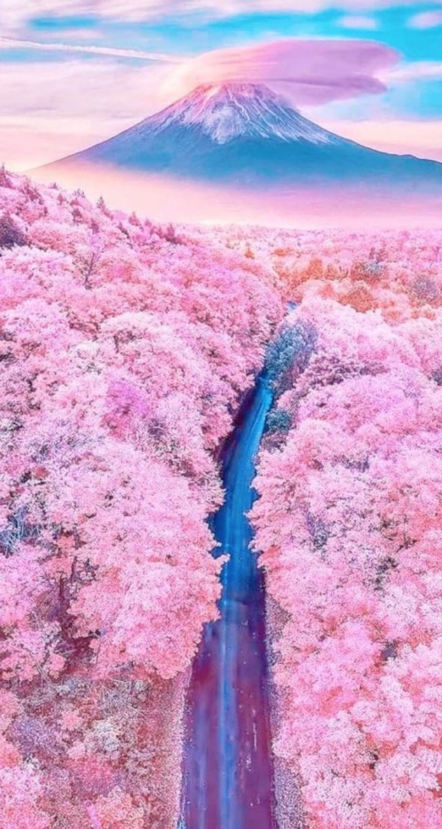 Hình nền điện thoại rừng cây màu hồng và núi nôn đẹp như tiên cảnh
