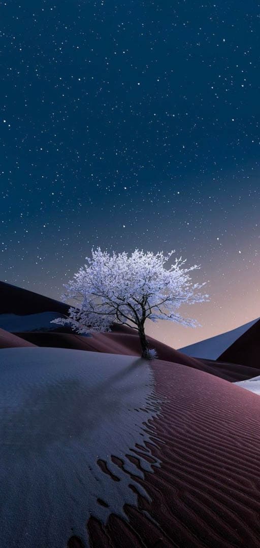 Hình ảnh mô phỏng về cây cổ thụ kiên cường trên xa mạc