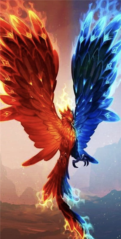 Hình ảnh chú chim phương hoàng lửa với hai sắc màu xanh đỏ đẹp mắt