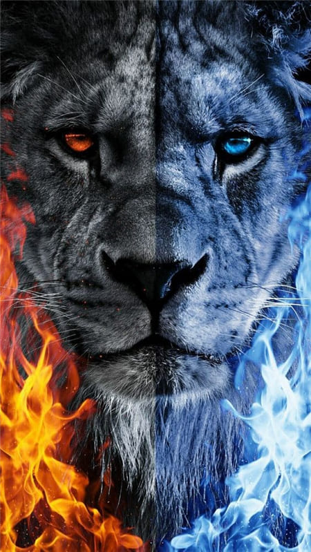 Hình ảnh nghệ thuật về chú sư tử với hai sắc thái lửa và nước làm hình nền điện thoại