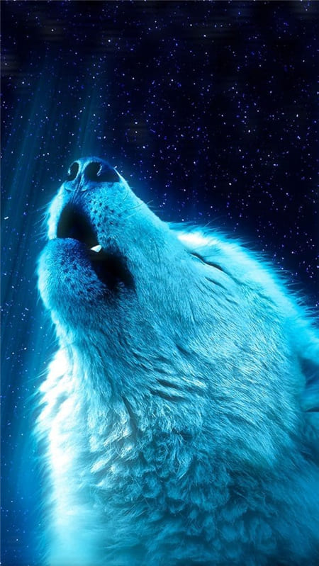 Hình ảnh tuyệt đẹp về chú chó sói có bộ lông màu trắng làm hình nền điện thoại