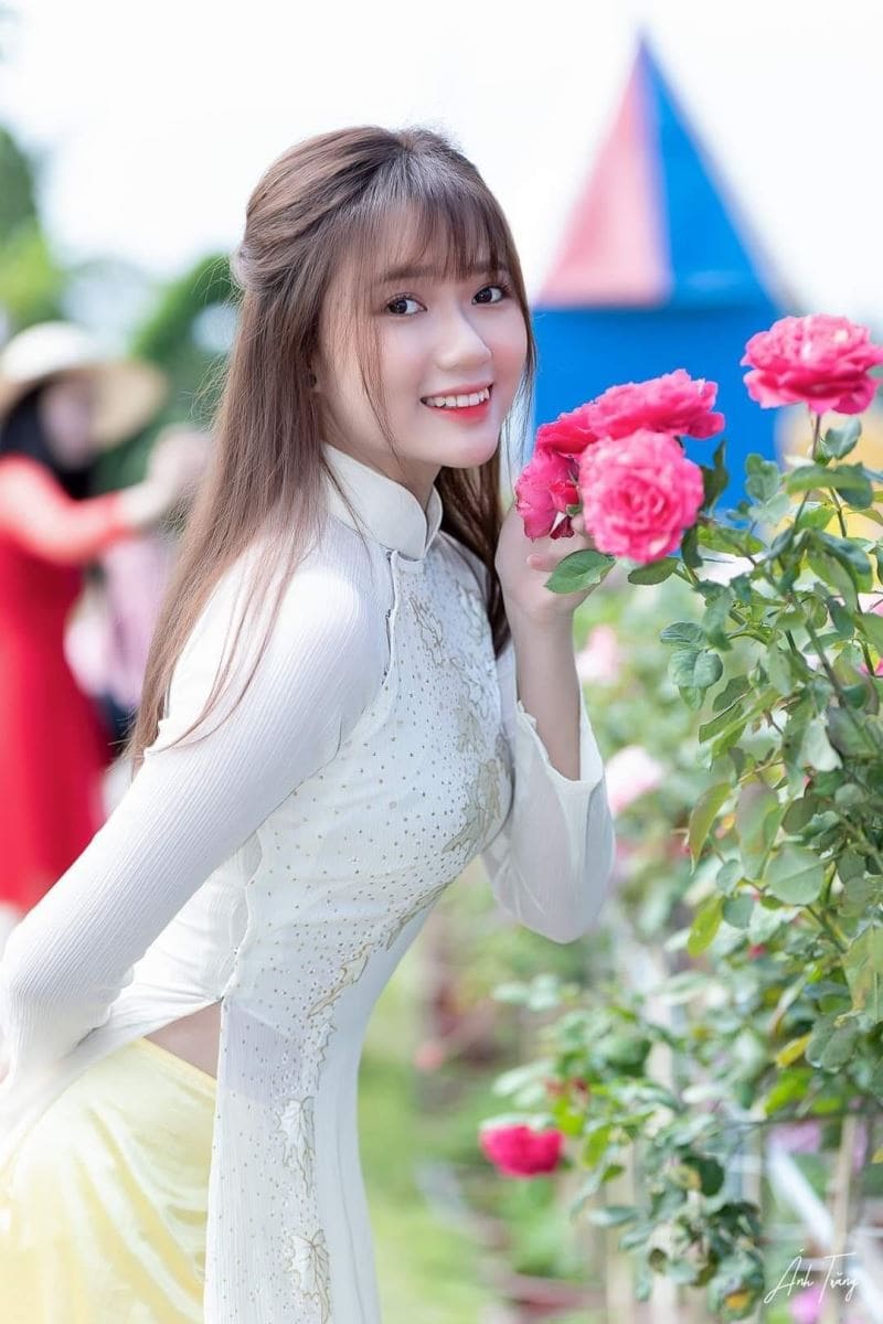 Hình ảnh cô gái xinh đẹp tạo dáng bên những bông hoa hồng đỏ thắm