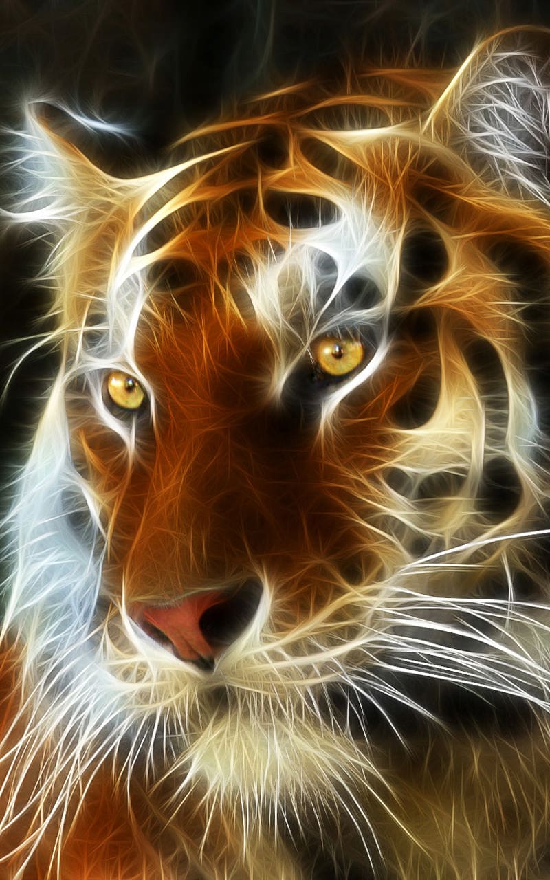 999 hình nền con hổ tuyệt đẹp  Bộ sưu tập hình nền con hổ đẳng cấp với  chất lượng 4K đầy đủ