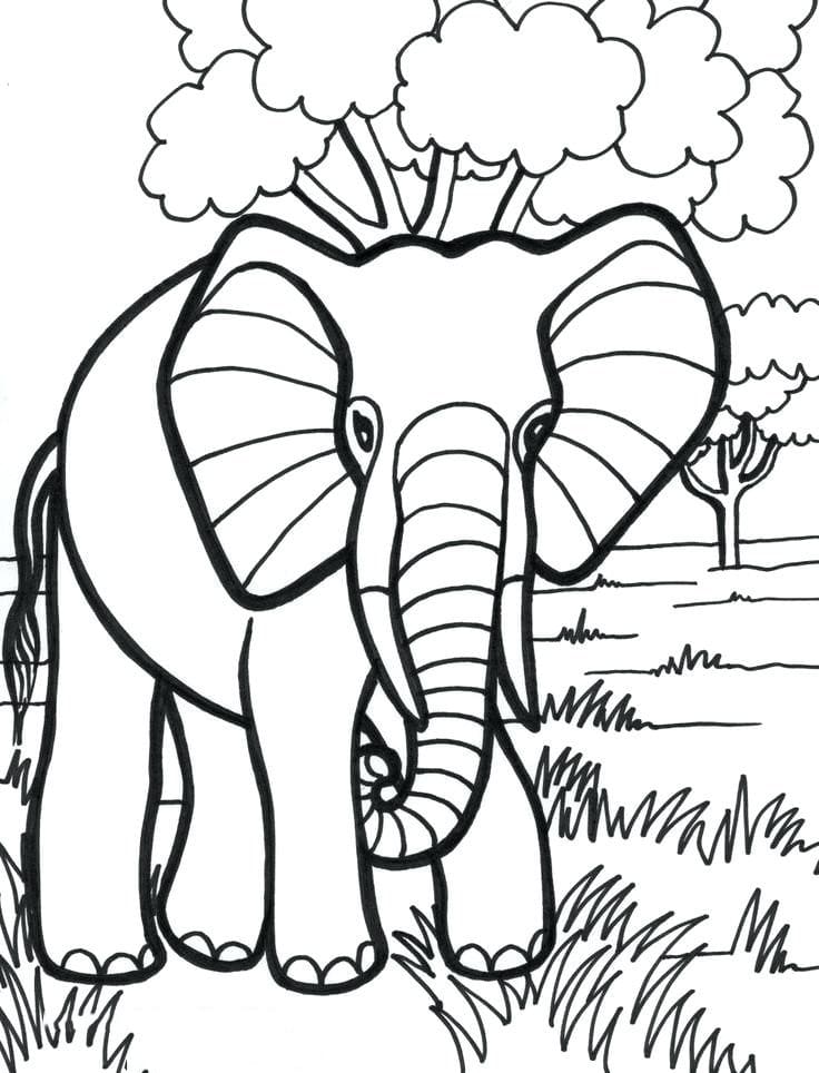 Hình tô màu con voi cho bé 4 tuổi