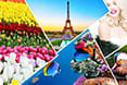Top 199 Hình Ảnh Thiên Nhiên Đẹp Nhất 2026